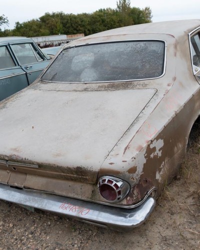 Driven Diary: Understated Elegance