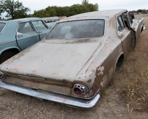 Driven Diary: Understated Elegance